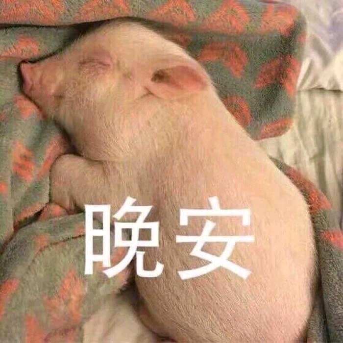 微信可爱个性群聊聊天表情包