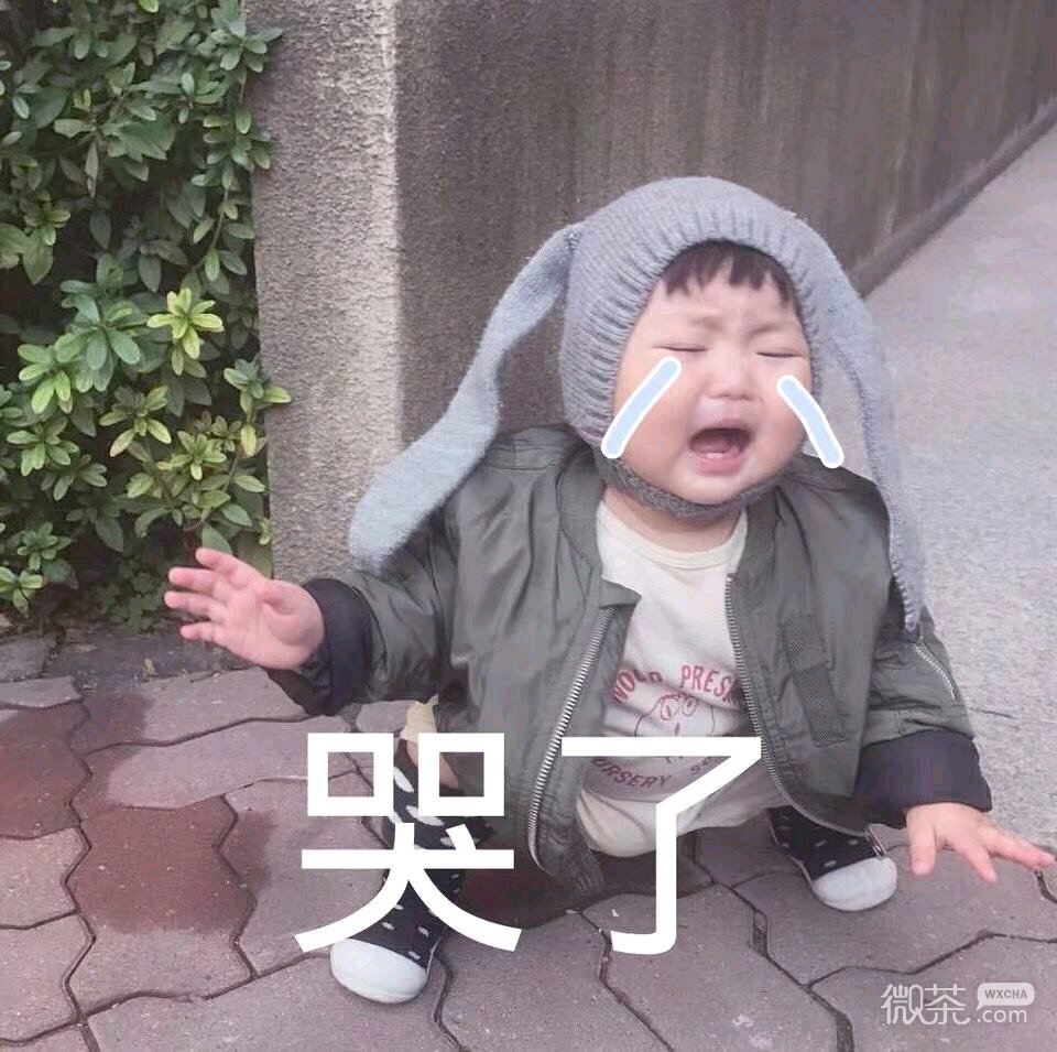 撤回微信恶搞傻屌斗图表情包