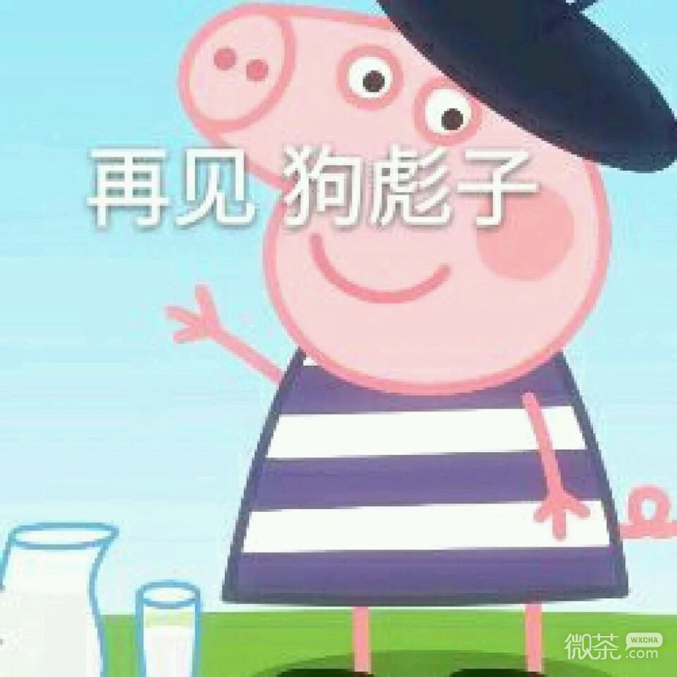 撤回微信恶搞傻屌斗图表情包