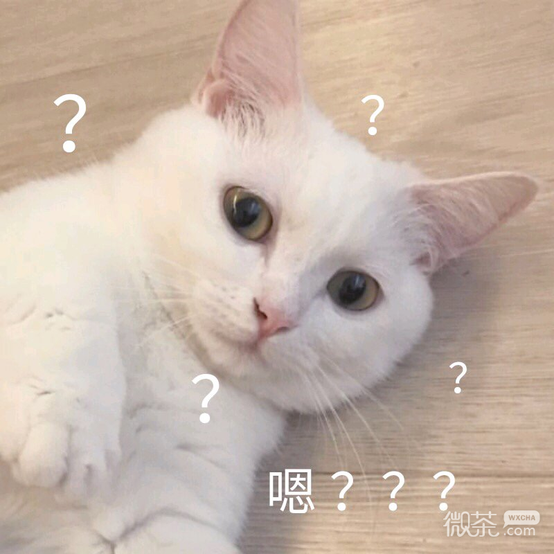菜醒微信恶搞傻屌斗图表情包