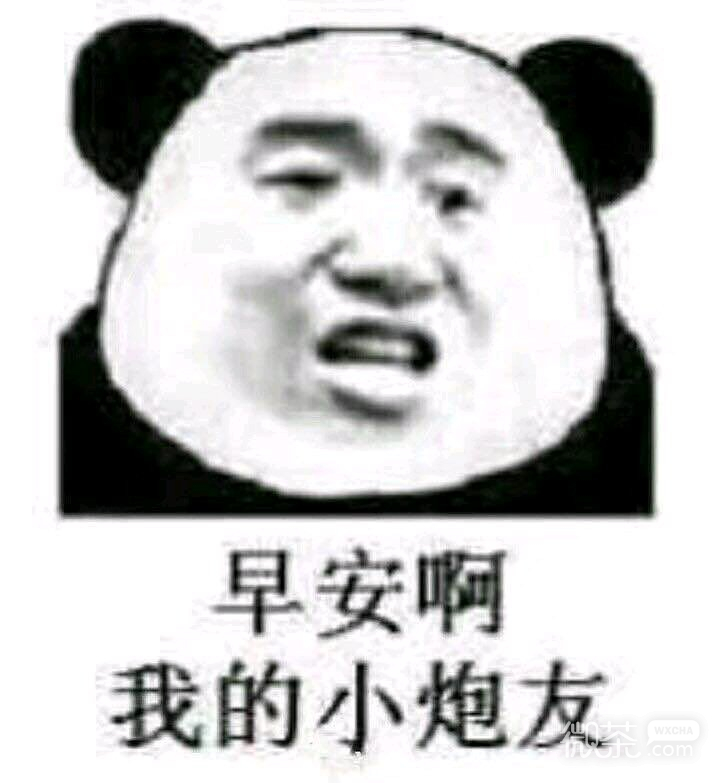 菜醒微信恶搞傻屌斗图表情包