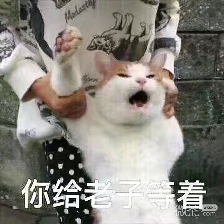撤回微信恶搞傻屌斗图表情包