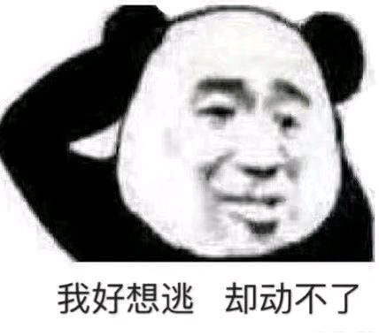色诱微信恶搞傻屌斗图表情包