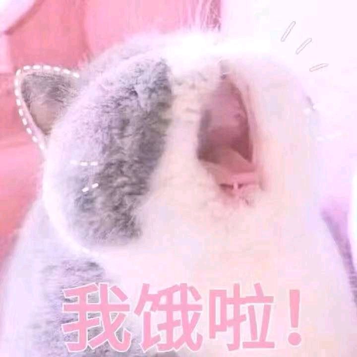 傻屌微信动态群聊聊天表情包