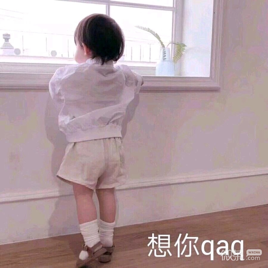 行吧微信恶搞傻屌斗图表情包