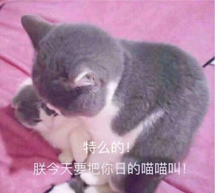 微信可爱个性群聊聊天表情包