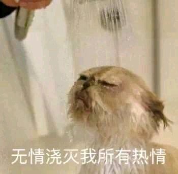 微信逗比恶搞啥吊牌聊天表情包