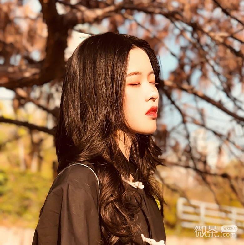 微信简约文艺森系女生头像