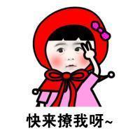 2019微信最新猥琐搞笑的聊天表情包合集下载