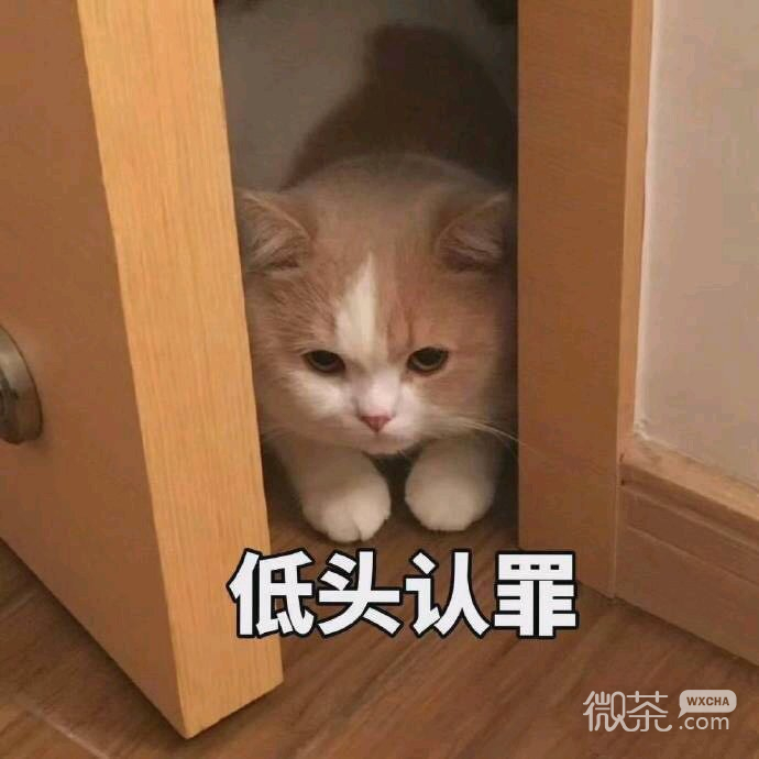 难过微信恶搞聊天斗图表情包