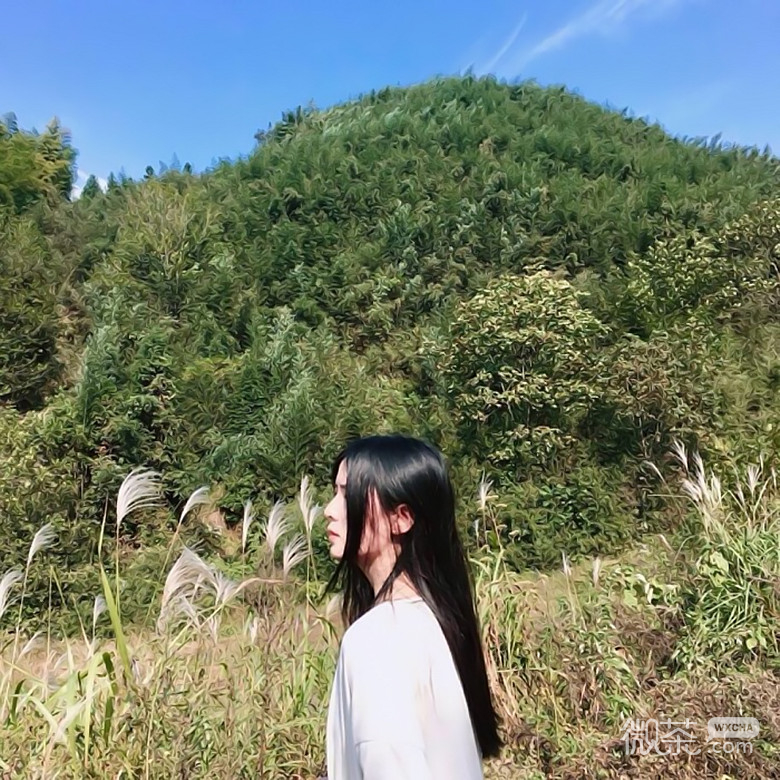 微信简约文艺森系女生头像