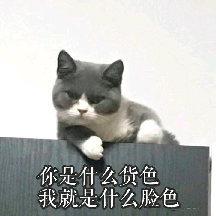 搞怪调皮微信斗图表情包