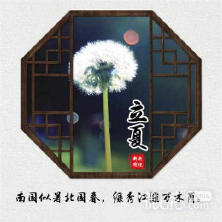 微信小清新风格的微信最新立夏图片下载