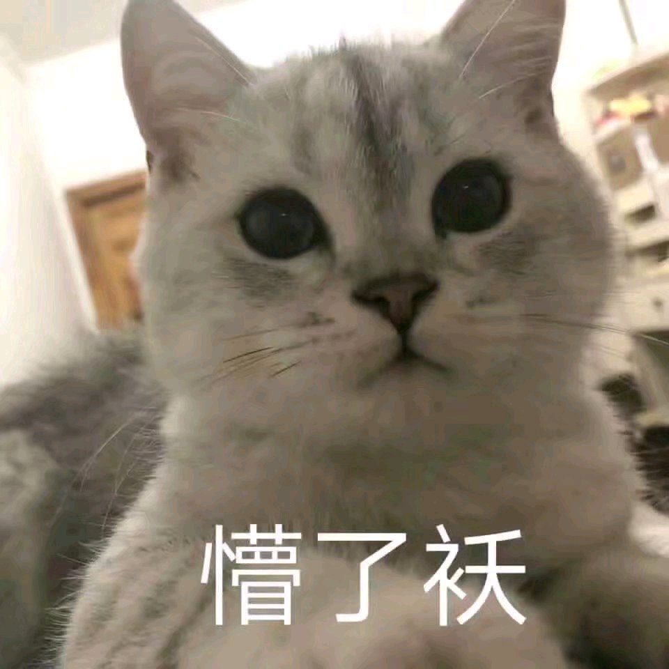 搞怪调皮微信斗图表情包