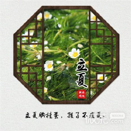 微信小清新风格的微信最新立夏图片下载