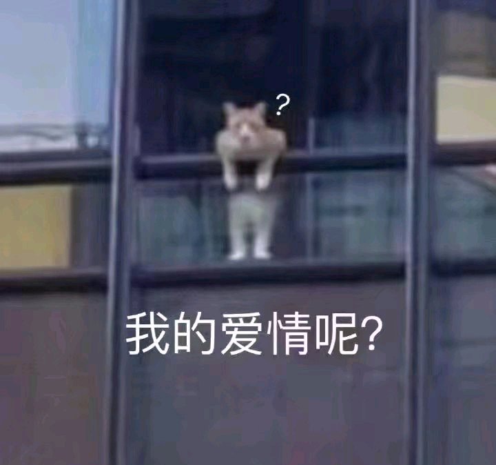 搞怪调皮微信斗图表情包