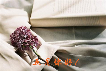 五月你好系列微信唯美意境图片合集下载