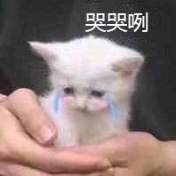 孤儿微信恶搞傻屌斗图表情包