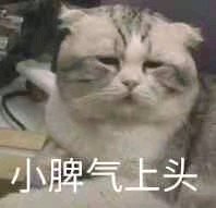 搞怪调皮微信斗图表情包