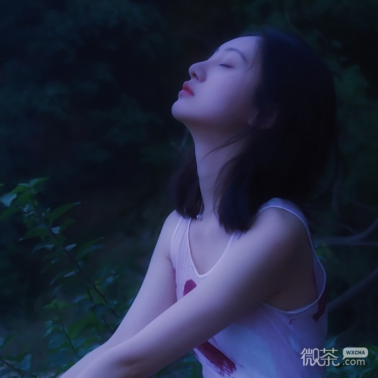 微信简约文艺森系女生头像