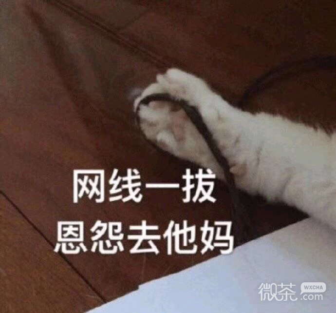 偷笑微信恶搞聊天傻屌斗图表情包