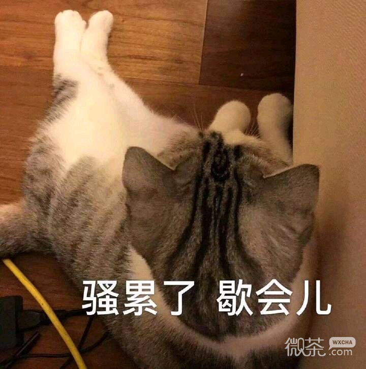 难过微信恶搞聊天斗图表情包
