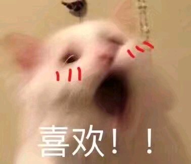 搞怪调皮微信斗图表情包