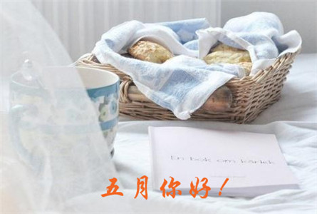 五月你好系列微信唯美意境图片合集下载