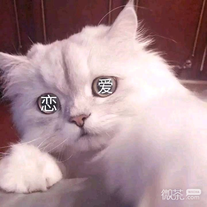 偷笑微信恶搞聊天傻屌斗图表情包