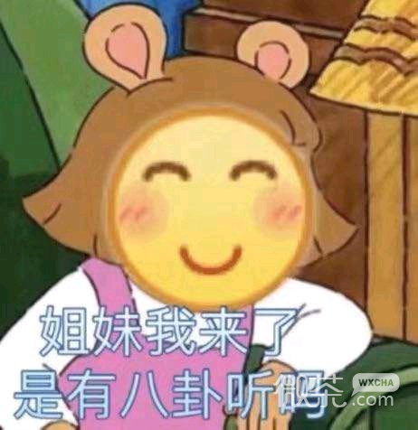 偷笑微信恶搞聊天傻屌斗图表情包
