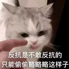 夸我微信傻屌斗图表情包