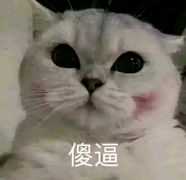 孤儿微信恶搞傻屌斗图表情包