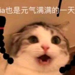 孤儿微信恶搞傻屌斗图表情包