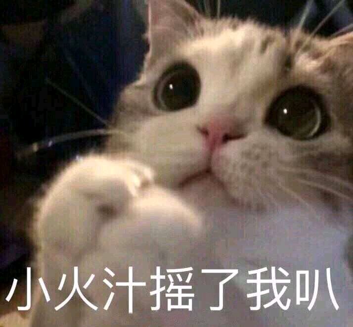 孤儿微信恶搞傻屌斗图表情包