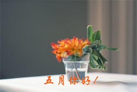 五月你好系列微信唯美意境图片合集下载