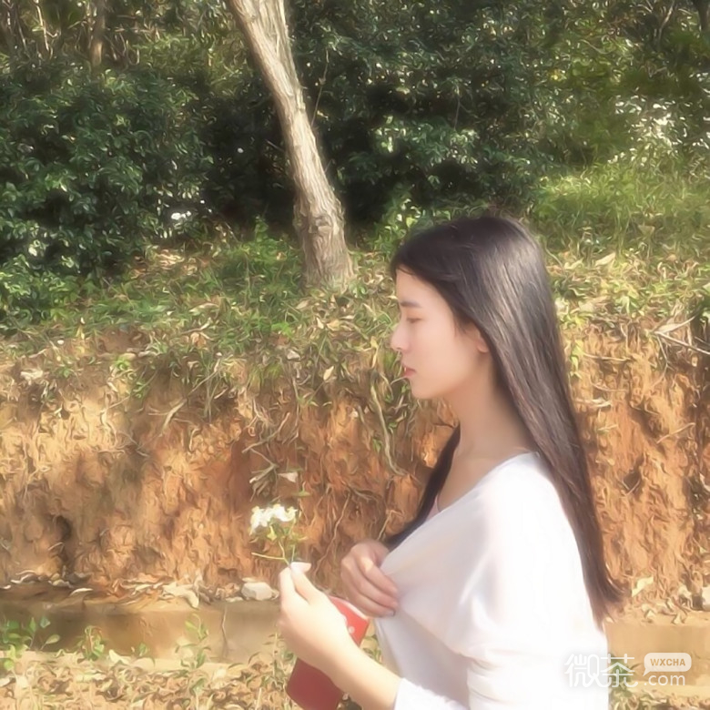 微信简约文艺森系女生头像