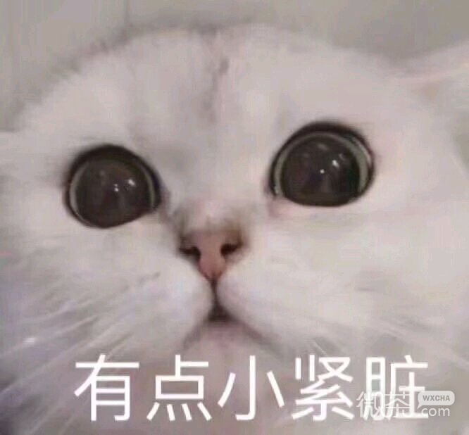偷笑微信恶搞聊天傻屌斗图表情包