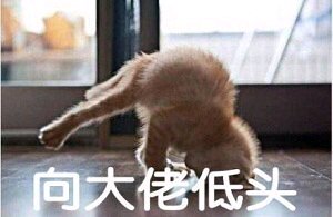 自闭微信恶搞傻屌斗图表情包