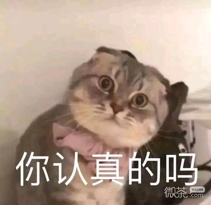 夸我微信傻屌斗图表情包