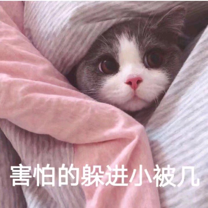 微信近期斗图恶搞表情包2019/5/7（二）