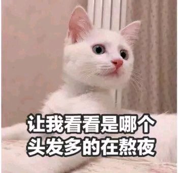 偷笑微信恶搞聊天傻屌斗图表情包