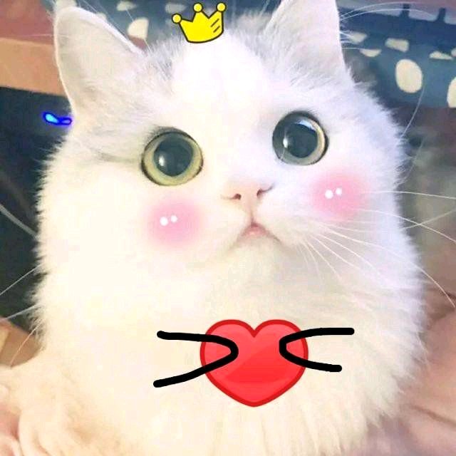 微信近期斗图恶搞表情包2019/5/7（二）