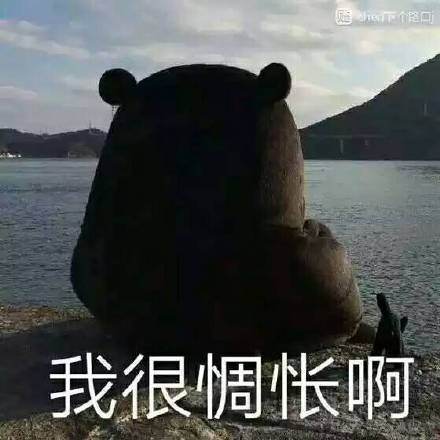 微信傻屌熊本熊斗图表情包