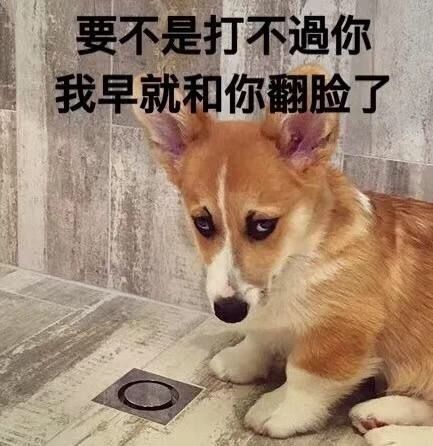 嘿嘿嘿微信傻屌斗图表情包