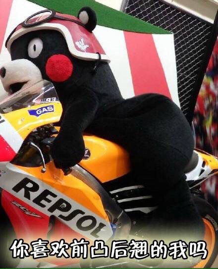 微信傻屌熊本熊斗图表情包
