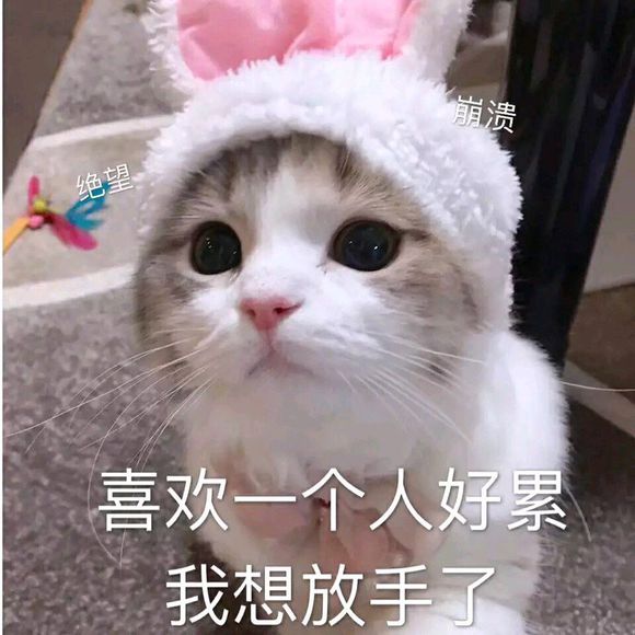 嘿嘿嘿微信傻屌斗图表情包