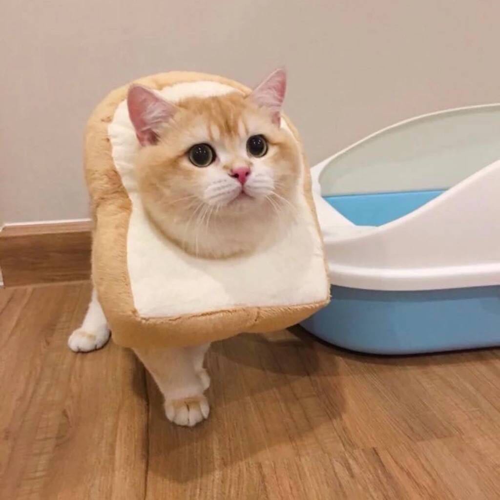 微信恶搞逗比傻屌头像