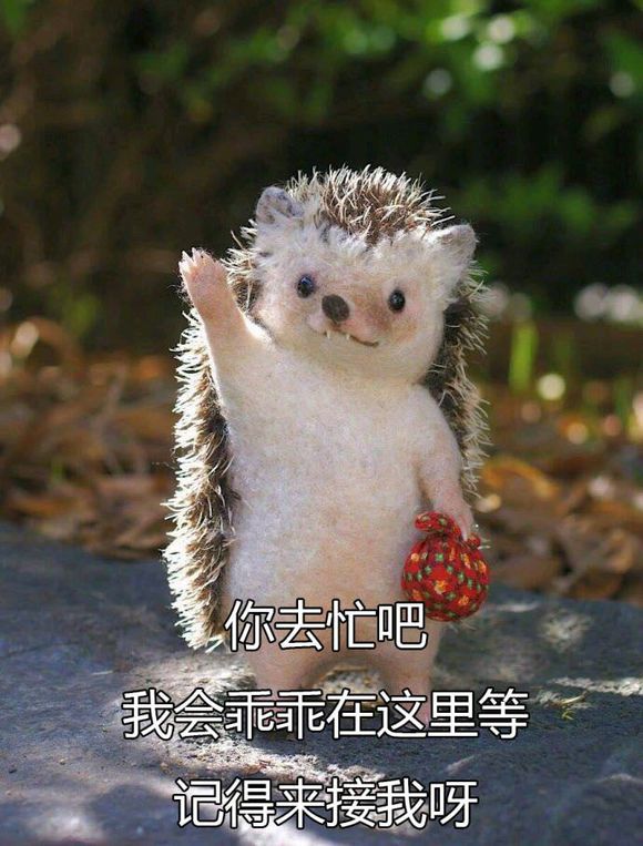 嘿嘿嘿微信傻屌斗图表情包