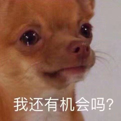 嘿嘿嘿微信傻屌斗图表情包