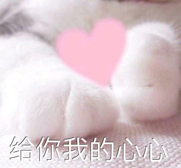 微信搞怪GIF傻屌斗图表情包